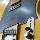 Telecaster_Ivory-hover